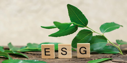 Environmental, Social and Corporate Governance (ESG)